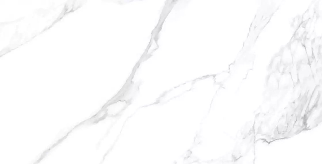 24203 CALACATTA EXTRA WHITE/100X180/P