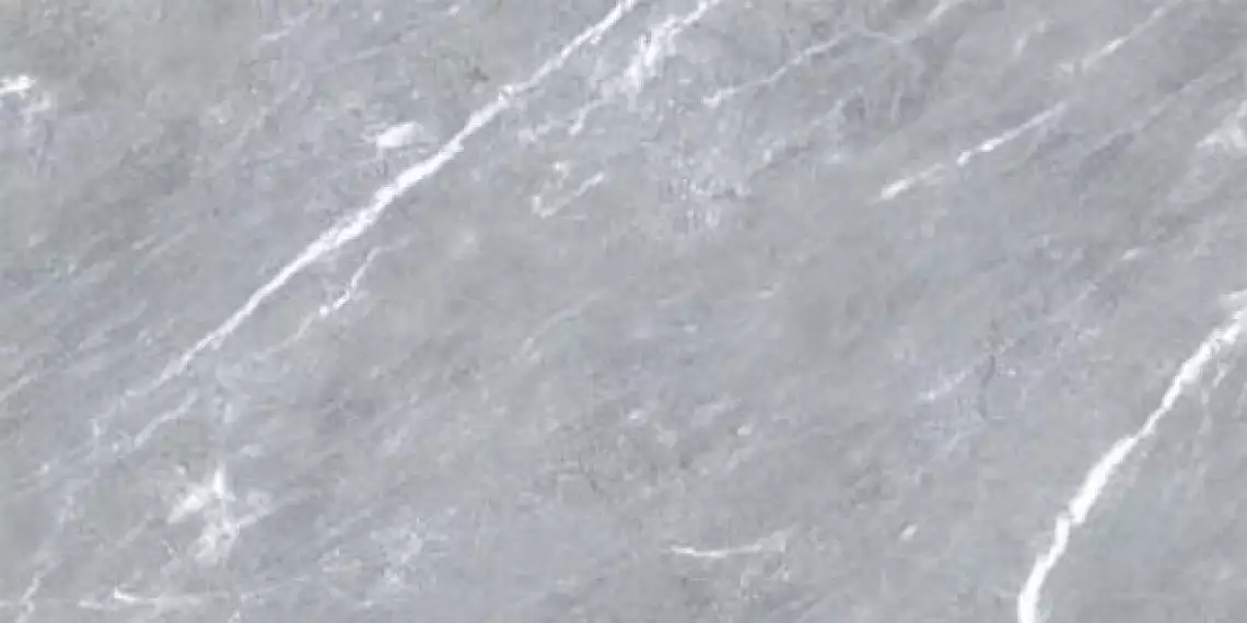 2460324 Marmoker Bardiglio Imperiale 60x120