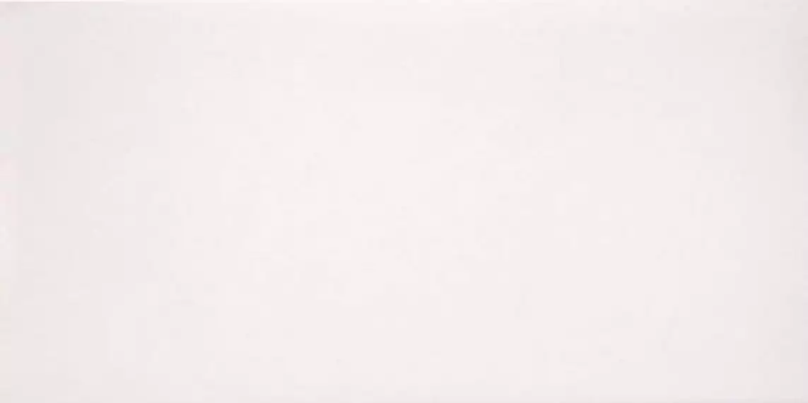2464631 Marmoker Lucido CANOVA 59Х118