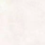 24936 GROUND BONE SF/60X60/C/R