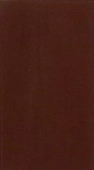 25096 Marrone 25*45