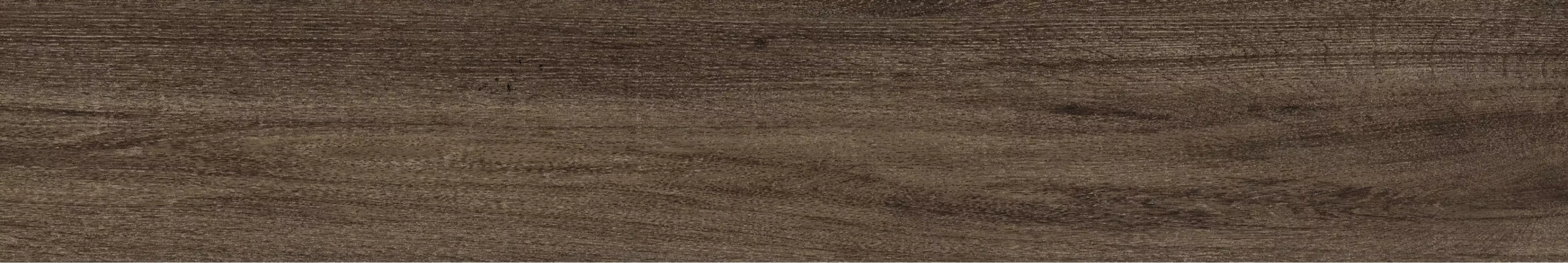 25488 Grove -T/19,5X121,5/R