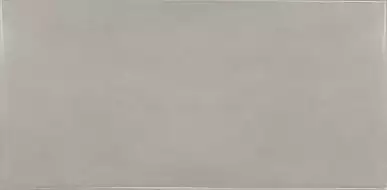 25582 Silver Mist 6.5x13.2