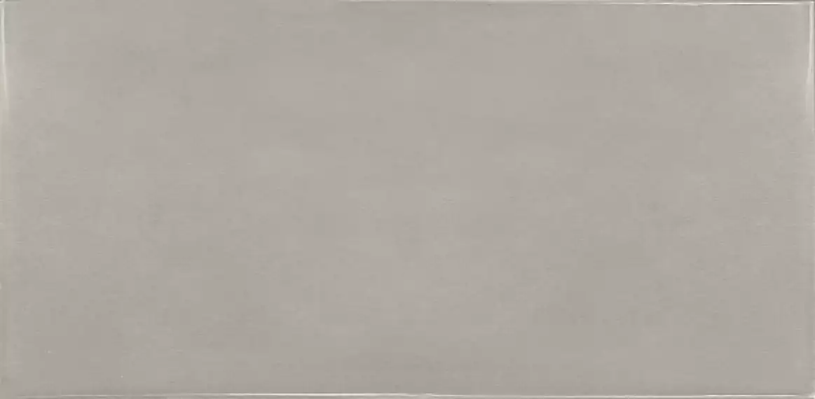 25582 Silver Mist 6.5x13.2