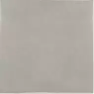 25593 Silver Mist 13.2x13.2