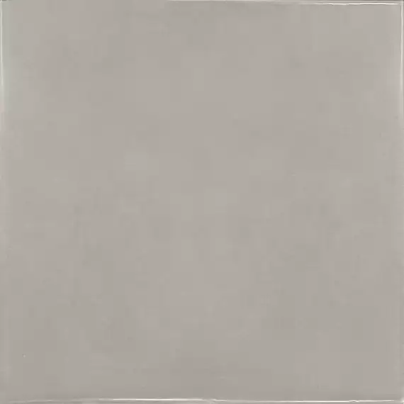 25593 Silver Mist 13.2x13.2