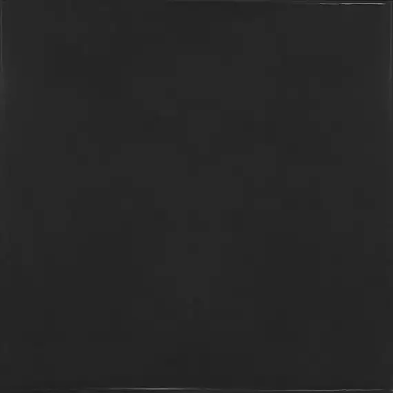 25598 Black 13.2x13.2