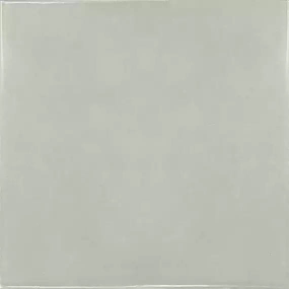 25622 Mint 13.2x13.2
