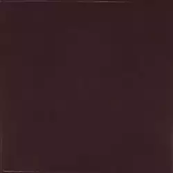25624 Aubergine 13.2x13.2