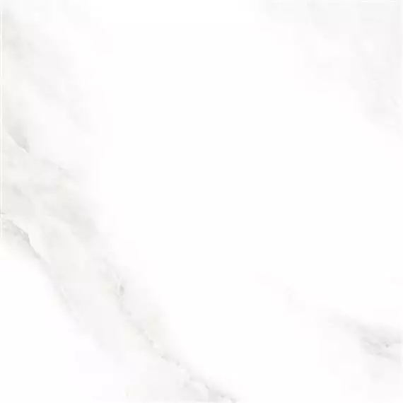2573 Shine grey Polished 60x60