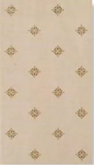 257C1B Charme Beige 25*45