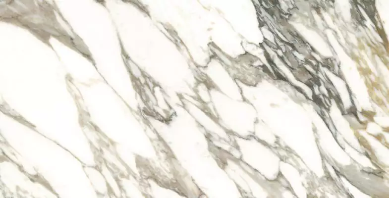 25922 MACCHIA VECCHIA/75,5X151/EP