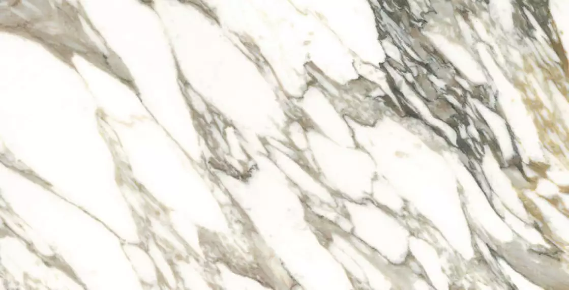 25922 MACCHIA VECCHIA/75,5X151/EP