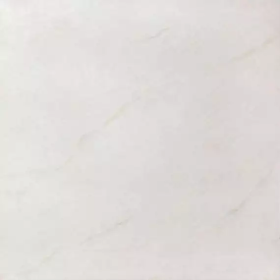2604 Silk Polished 90x90