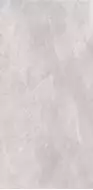 2614 Earth Light grey polish 60x120