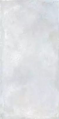 2621 Galexy Light polish 60x120