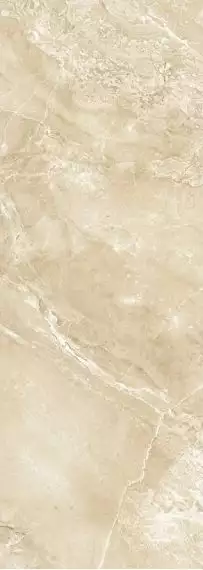 271 BCU3BG BARCELONA темная 24.5x69.5