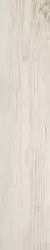 276041 Essenze larice ret 20x120