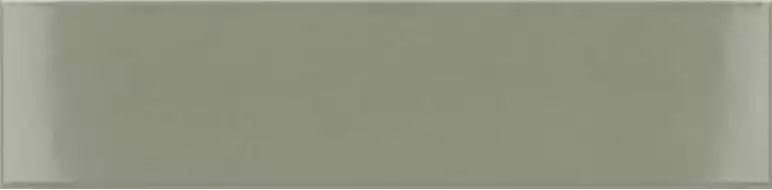 28441 Costa Nova Tansy Green Glossy 5x20