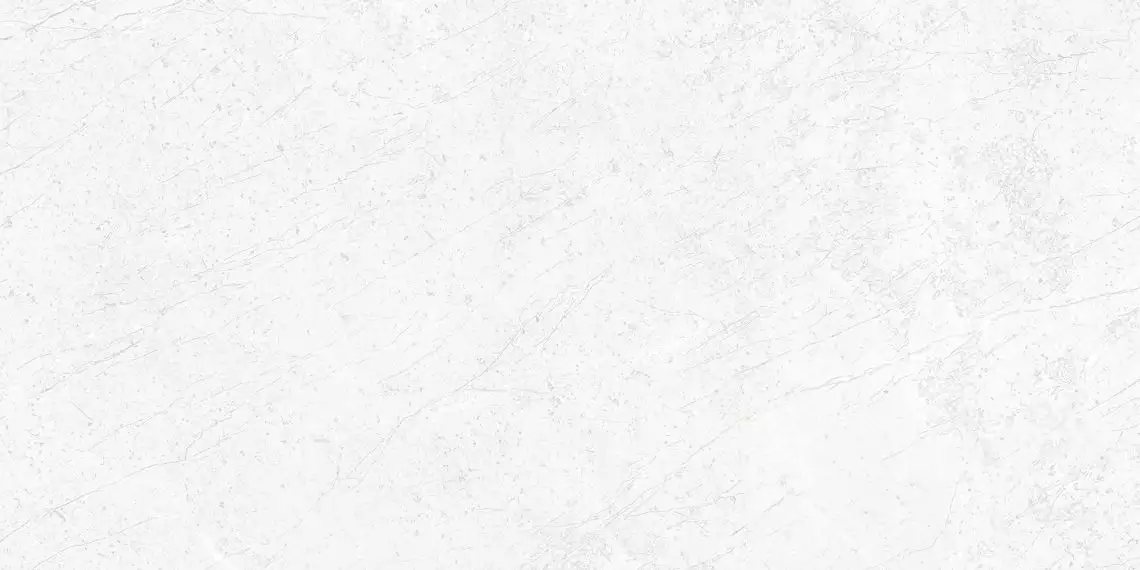 28485 Pav. Alpine white ho 60*120