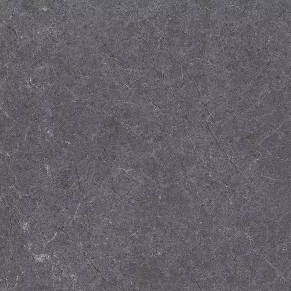 28486 Pav. Alpine anth as 60*60