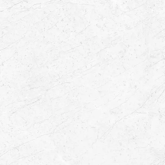 28489 Pav. Alpine white as 60*60