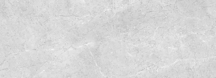 28525 ALPINE GREY/32X90/R