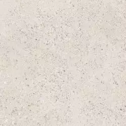 28550 LAKESTONE OAT AS/60X60/C/R