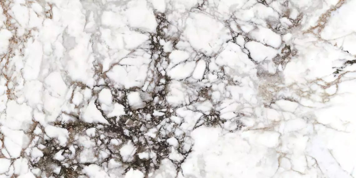 28568 BRECCIA WHITE NT/60X120/R