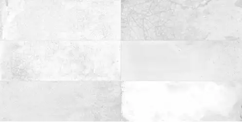 28938 FS RAKU WHITE 20X40