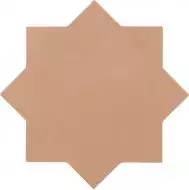 29075 Kasbah Star Terracota 16,8x16,8