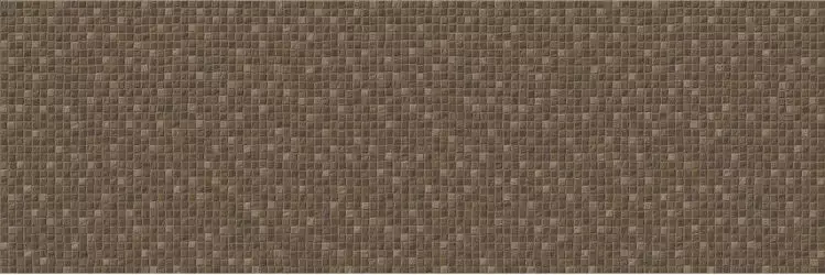 29216-0259 Gobi Marron 25*75