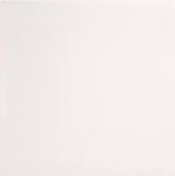 2950231 Marmoker Lucido CANOVA 59Х59