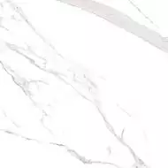 2950917 Керамогранит Marmoker Statuario Grigio Honed 60x60