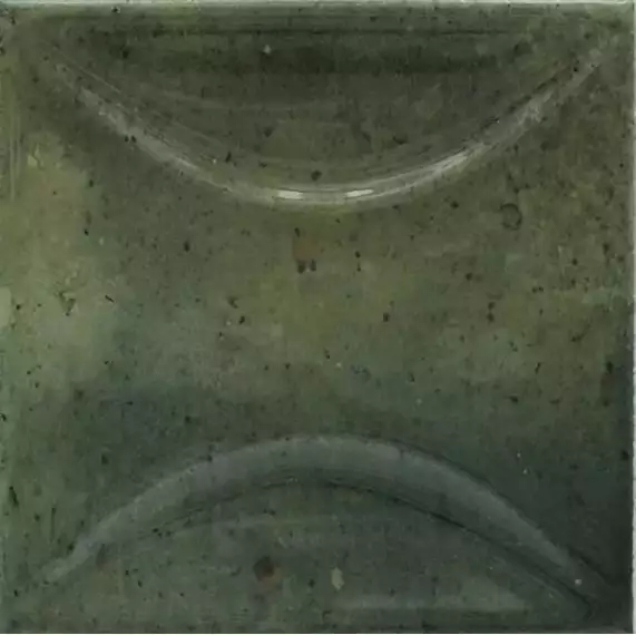 30025 Arco Wild Olive 10х10