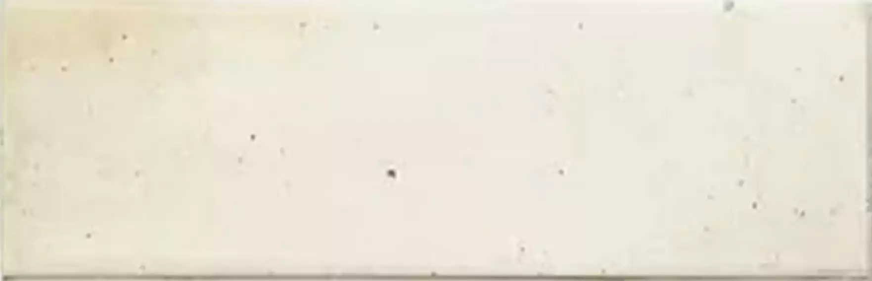 30030 Плитка White 6,5X20
