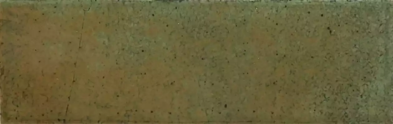 30034 Wild Olive 6,5X20