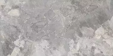 304130 Керамогранит Argos Grey 60x120