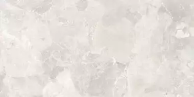 304201 Керамогранит Argos White 60x120