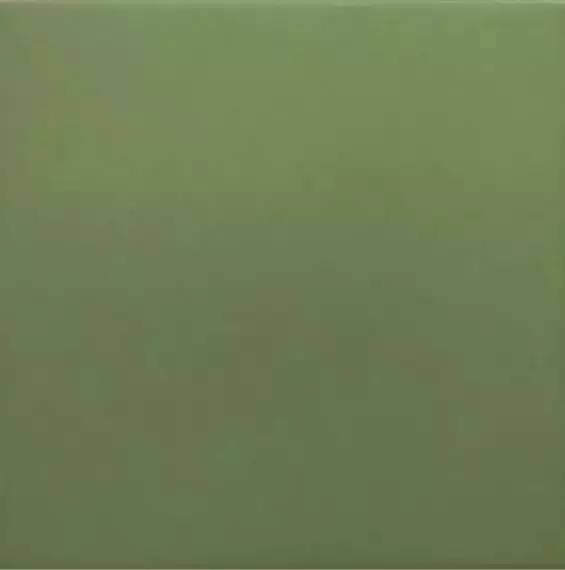 30716 Керамогранит Rivoli Green 20x20