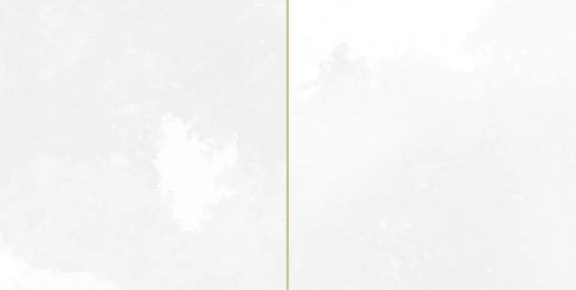 30896 FS Tradition Square White 20x40