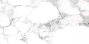 31001 HAUTE WHITE SP/60X120/R
