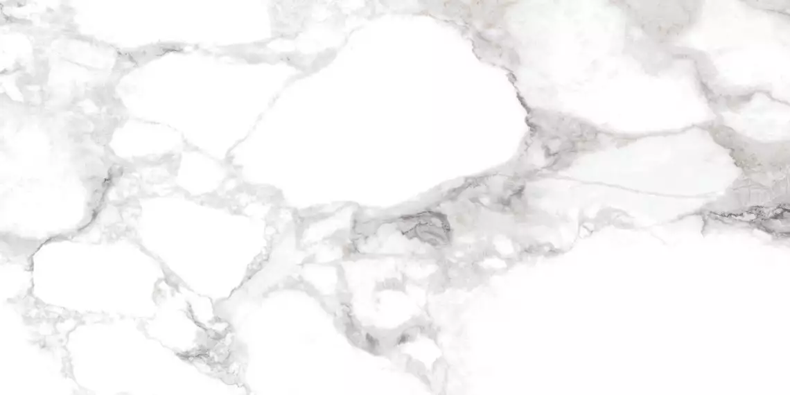 31001 HAUTE WHITE SP/60X120/R