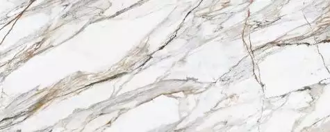 313759 Calacatta Paonozza Polished 120x300