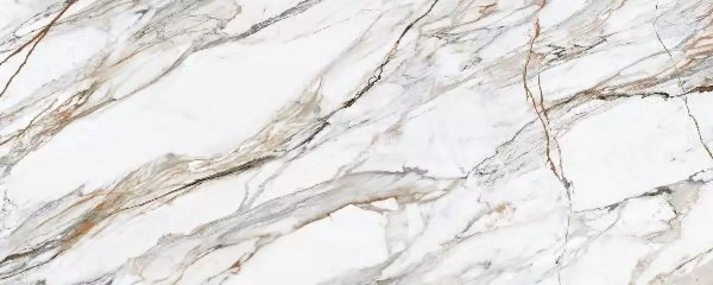 313759 Calacatta Paonozza Polished 120x300