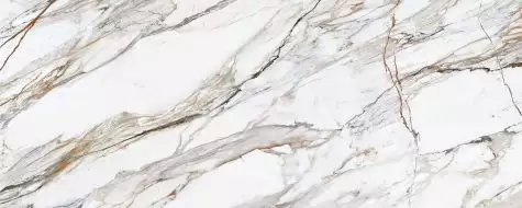 313760 Calacatta Paonozza Honed 120x300