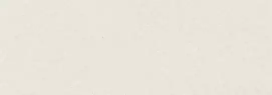 313775 Pietra Coral 100x300
