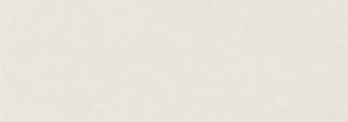 313775 Pietra Coral 100x300