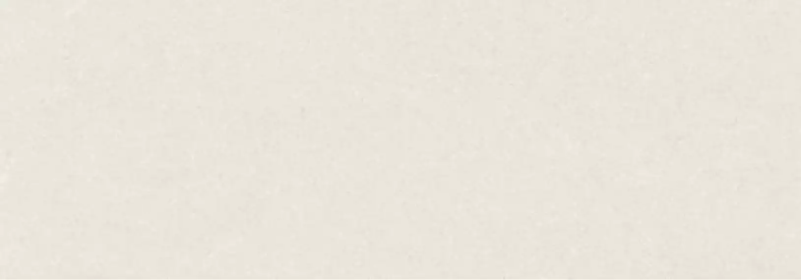 313775 Pietra Coral 100x300
