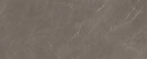 314393 Avenue Taupe Rect 100x300